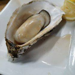 ケンサキ殲滅作戦