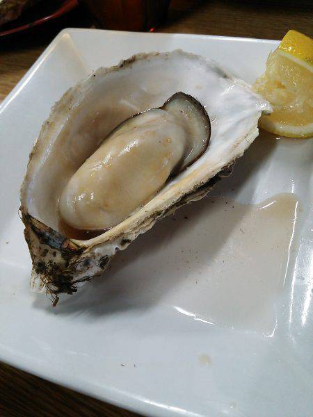 ケンサキ殲滅作戦