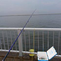 アジ タコ ジグサビキ