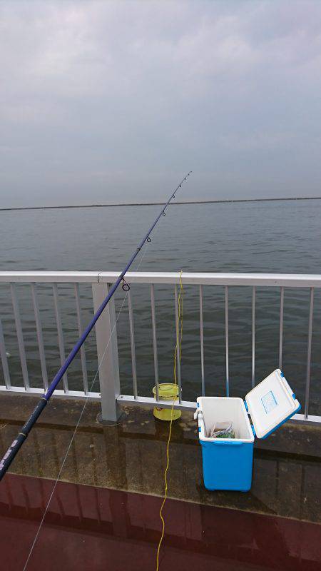 アジ タコ ジグサビキ