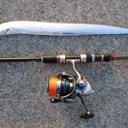 タチウオとアジ