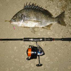 またまたキビレ…