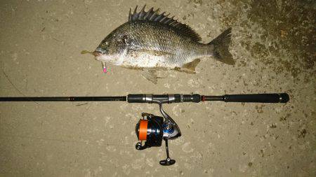 またまたキビレ…