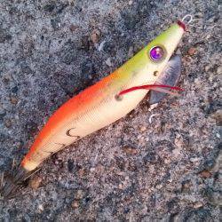 Teamゲッソー調査隊長