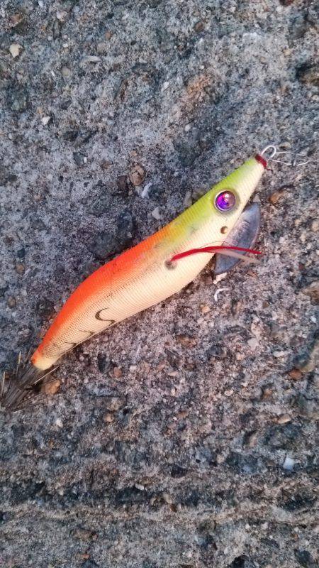 Teamゲッソー調査隊長