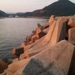 team\’ゲッソー調査部隊