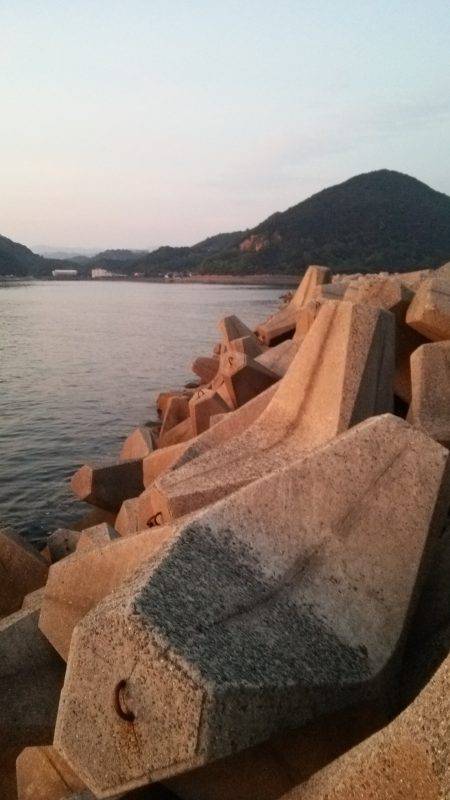 team\’ゲッソー調査部隊