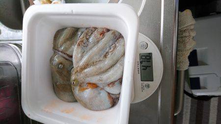 遠くのタコは重いぞ