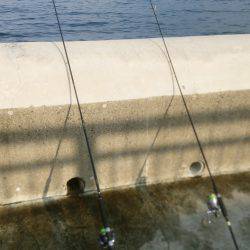 狙い通りだが…