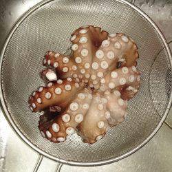 思わぬゲストが…