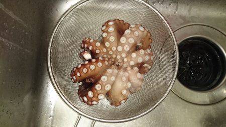 思わぬゲストが…