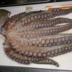 またマッチョなやつに