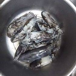 貝塚人工島でアオリ新子9杯get