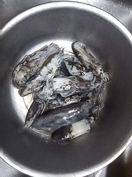 貝塚人工島でアオリ新子9杯get