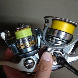 太刀魚のちデイアジング