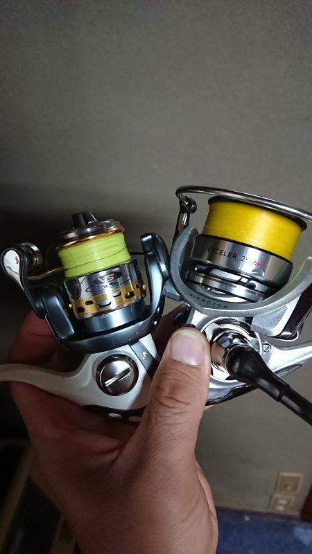 太刀魚のちデイアジング