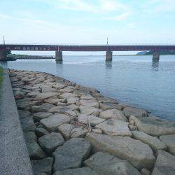 チヌ狙いにヒラメ(笑)