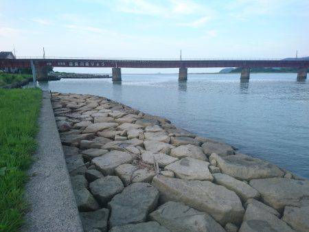 チヌ狙いにヒラメ(笑)