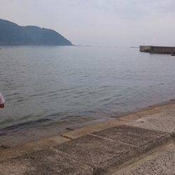 フグを避けながらの五目釣り