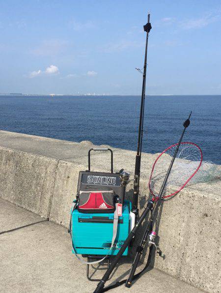 サゴシ⁉️  安定⁉︎のタコ