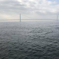 昨日の今日で…。