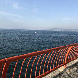 なぜか大漁⁉️