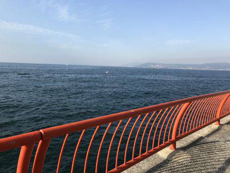 なぜか大漁⁉️