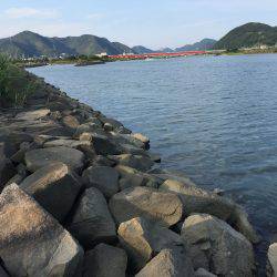 千種川河口で手長エビ釣り