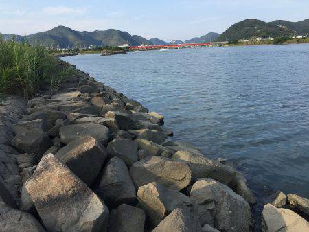 千種川河口で手長エビ釣り