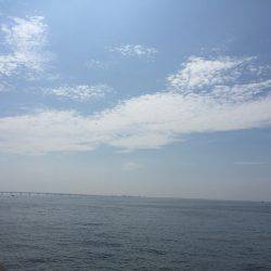 ライトゲームで癒されてきました。