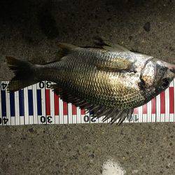 音漏れフィッシング