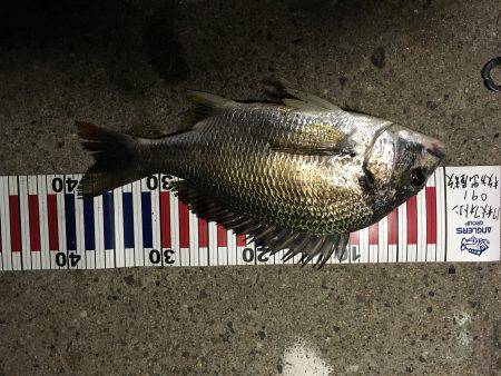 音漏れフィッシング