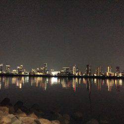 キビレ調査　ＮＯ，３０