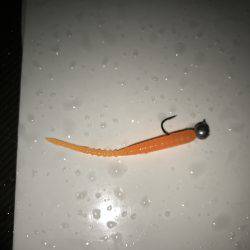 アジング釣行記