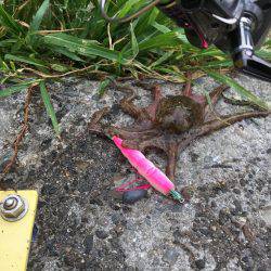 休日の早朝に♪