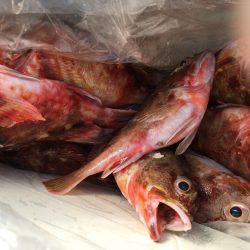 オフショアゲーム