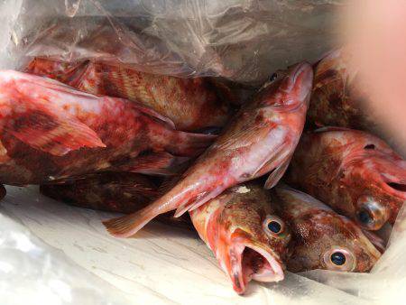 オフショアゲーム