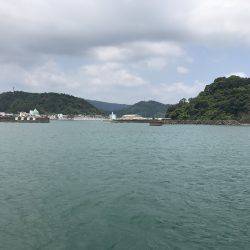 三たび目井津港で豆アジ