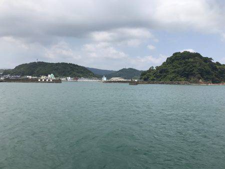 三たび目井津港で豆アジ