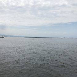 アジ、サバ、イワシ