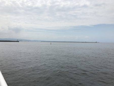 アジ、サバ、イワシ