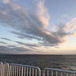 アジ102匹 サバ3匹