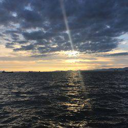 アジ51匹、サバ5匹、イワシ1匹