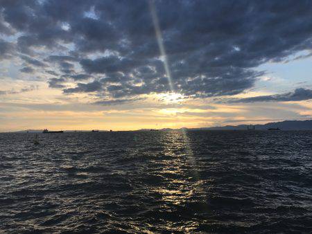 アジ51匹、サバ5匹、イワシ1匹