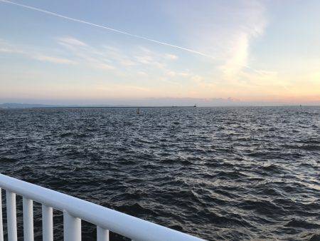 アジ53匹、サバ3匹、イワシ3匹