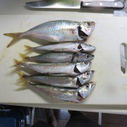 恐るべし自衛隊堤防