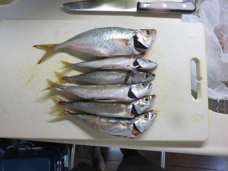 恐るべし自衛隊堤防