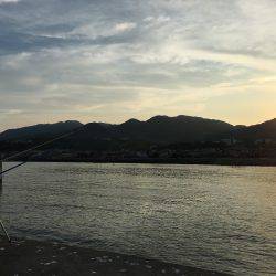 やってみるもんだね