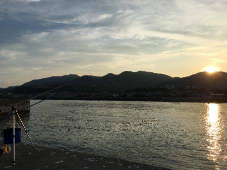 やってみるもんだね