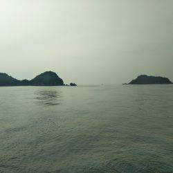 阿南市の辰巳でタチウオとツバスとシオ